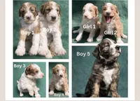 processed/4c223262-4ed1-4d29-86b7-60e36bbc5c43/facility/ba47dd6d-e632-45e4-b4be-081b64acfa0a