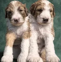 processed/4c223262-4ed1-4d29-86b7-60e36bbc5c43/facility/c040ad9b-4f4d-4fe7-a88c-049ddfc36ada