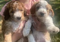 processed/4c223262-4ed1-4d29-86b7-60e36bbc5c43/facility/cfb1d048-59b7-40f6-9e09-28e89a810bfb