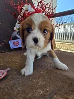 processed/4c27e9eb-50fa-49e1-9e54-b9751ae24f3c/listing/32e9e62a-06cb-47d6-8166-e8640611794c/39bd6fca-f0d3-4080-bbce-5b0b8973a952