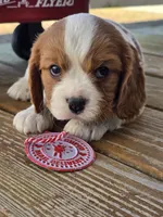 processed/4c27e9eb-50fa-49e1-9e54-b9751ae24f3c/listing/6816a394-3a6f-42aa-b05a-02c4e17da9e1/2add04a4-f276-4be7-b9da-5c034a4e0015