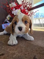 processed/4c27e9eb-50fa-49e1-9e54-b9751ae24f3c/listing/6816a394-3a6f-42aa-b05a-02c4e17da9e1/a1cf4b6e-04a3-4809-b017-b0976333ac05