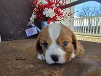 processed/4c27e9eb-50fa-49e1-9e54-b9751ae24f3c/listing/6816a394-3a6f-42aa-b05a-02c4e17da9e1/b3d71230-d1dd-41f3-abac-36760f680229