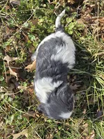 processed/4c27e9eb-50fa-49e1-9e54-b9751ae24f3c/listing/9ea418cf-dda7-424d-9909-ba13062bbc47/158c363b-c69e-41b2-a138-b6dbfd04b7f9