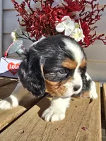 processed/4c27e9eb-50fa-49e1-9e54-b9751ae24f3c/listing/9ea418cf-dda7-424d-9909-ba13062bbc47/81013d60-a1a2-4f1f-8d90-d1e2eadde739