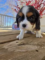 processed/4c27e9eb-50fa-49e1-9e54-b9751ae24f3c/listing/9ea418cf-dda7-424d-9909-ba13062bbc47/bffcfb2a-8ea6-4736-a3f3-53551638a8a4