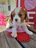 processed/4c27e9eb-50fa-49e1-9e54-b9751ae24f3c/listing/a0b24b17-b812-4901-989c-400b2e6ed834/425cbdad-963c-4e73-a65f-ae3a63920a89