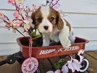 processed/4c27e9eb-50fa-49e1-9e54-b9751ae24f3c/listing/a0b24b17-b812-4901-989c-400b2e6ed834/eb695db9-24fc-4c9a-b553-26141758ce23