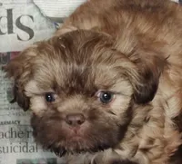 processed/4c2adc58-138e-4ce1-9dc2-7723d22681c5/listing/efbf0352-ac08-4972-96a3-90bbc4944398/19e1e021-1baa-4376-857c-d4fcb936c3e1