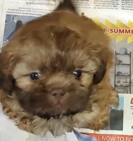 processed/4c2adc58-138e-4ce1-9dc2-7723d22681c5/listing/efbf0352-ac08-4972-96a3-90bbc4944398/2ea9c610-c1d2-4f40-81ae-ab982e962f81