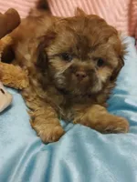 processed/4c2adc58-138e-4ce1-9dc2-7723d22681c5/listing/efbf0352-ac08-4972-96a3-90bbc4944398/322050dd-8a1d-477b-9f75-961b1cdbfc0d