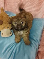 processed/4c2adc58-138e-4ce1-9dc2-7723d22681c5/listing/efbf0352-ac08-4972-96a3-90bbc4944398/9f2eeb73-27ed-407a-8491-7aefed0fdbfe