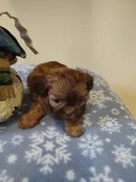 processed/4c2adc58-138e-4ce1-9dc2-7723d22681c5/listing/efbf0352-ac08-4972-96a3-90bbc4944398/c62cfc54-2c79-4f9d-9016-53afb0e8e96e