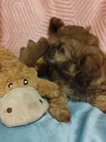 processed/4c2adc58-138e-4ce1-9dc2-7723d22681c5/listing/efbf0352-ac08-4972-96a3-90bbc4944398/d14247fc-0b91-472b-bb1c-f38440f8da57