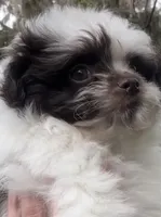 processed/4c3827ec-def4-41ff-bdce-366b6b9731b7/listing/923d7842-48ba-41b7-8df3-bf4e76128ac7/756fae65-6c45-4412-92d6-051b3c6af7ae