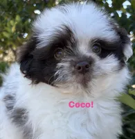 processed/4c3827ec-def4-41ff-bdce-366b6b9731b7/listing/923d7842-48ba-41b7-8df3-bf4e76128ac7/9d6f8827-556e-423a-b6c7-9b17b6153e50