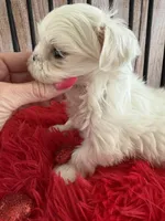 processed/4c3827ec-def4-41ff-bdce-366b6b9731b7/listing/aa9dd1de-1533-4fe9-889d-2487a94048a3/0853afe4-f161-4004-806d-1473abf47d71