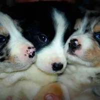 processed/4c3fe311-d496-4bf8-b20f-767112ea0ef0/facility/ceee64ba-ac14-40fb-8885-04691d9ed080