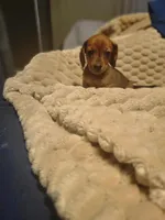 processed/4c404849-8b25-4f8f-ab4b-3b4e2dded842/facility/2142b400-f726-4ced-91a8-720dc10829b3