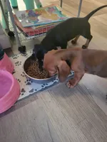 processed/4c404849-8b25-4f8f-ab4b-3b4e2dded842/facility/2f255e75-3c22-40b3-b51d-8f1d01cab64d