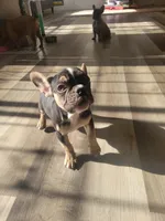 processed/4c404849-8b25-4f8f-ab4b-3b4e2dded842/facility/41a38907-89d8-4b99-8410-da84ef15f7ff