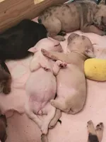 processed/4c404849-8b25-4f8f-ab4b-3b4e2dded842/facility/6999d340-e7a2-480a-96bd-adbba727f6d7