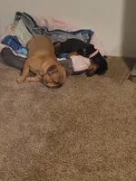 processed/4c404849-8b25-4f8f-ab4b-3b4e2dded842/facility/8c6180a1-edd1-4ea7-8b5d-24f7f675330a