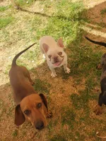 processed/4c404849-8b25-4f8f-ab4b-3b4e2dded842/facility/b41e793a-69e5-456b-bfdd-69b740cddc73