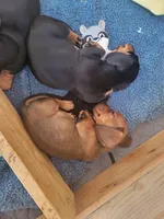 processed/4c404849-8b25-4f8f-ab4b-3b4e2dded842/facility/c88fd6fe-4279-4c26-8c76-14ee40cd3909