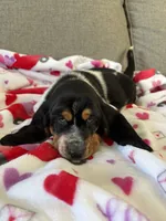 processed/4c43b3cb-d86d-46bb-8157-da6b73f66060/listing/0f950967-92a8-4e1a-885a-d4c338fb8527/26071a6c-a5d5-4461-85bc-62f5eb7c5b01