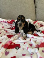 processed/4c43b3cb-d86d-46bb-8157-da6b73f66060/listing/0f950967-92a8-4e1a-885a-d4c338fb8527/45621c90-13d5-41e0-b9e6-edeb1c7930c4