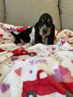 processed/4c43b3cb-d86d-46bb-8157-da6b73f66060/listing/0f950967-92a8-4e1a-885a-d4c338fb8527/54fb727b-833e-4d9b-b690-bd789d152880