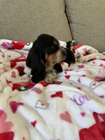 processed/4c43b3cb-d86d-46bb-8157-da6b73f66060/listing/0f950967-92a8-4e1a-885a-d4c338fb8527/9f1d0683-fe26-439d-ac62-57fb6d314c0b