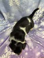 processed/4c43b3cb-d86d-46bb-8157-da6b73f66060/listing/0f950967-92a8-4e1a-885a-d4c338fb8527/9fcc621c-666b-4a5c-9da1-91d489d49bb5