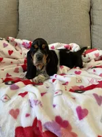 processed/4c43b3cb-d86d-46bb-8157-da6b73f66060/listing/0f950967-92a8-4e1a-885a-d4c338fb8527/c0e8e559-a661-4324-86e9-12a2548ba6e1