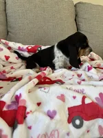 processed/4c43b3cb-d86d-46bb-8157-da6b73f66060/listing/0f950967-92a8-4e1a-885a-d4c338fb8527/c352c00a-e76e-40ce-936e-4b40654921f4