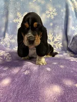 processed/4c43b3cb-d86d-46bb-8157-da6b73f66060/listing/0f950967-92a8-4e1a-885a-d4c338fb8527/dbb869a6-6463-4da1-90cb-6077e6ae6453