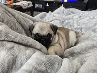 processed/4c453efd-d898-49ad-8f78-fb29f110f035/listing/279332d2-f71e-45dd-8354-2b7d5b6568f6/1f19e31c-6360-4f24-9d6f-5ac59dcaa68d