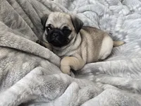 processed/4c453efd-d898-49ad-8f78-fb29f110f035/listing/279332d2-f71e-45dd-8354-2b7d5b6568f6/80e5966f-6631-4d98-8c1f-e5c9d0482e63