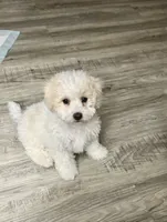 processed/4c481c92-4512-43fb-b685-84da345a1c64/listing/6c5ff35c-2347-45c8-893d-d6fa1e574a4e/34030892-4320-4db3-b7bd-920cef10e755