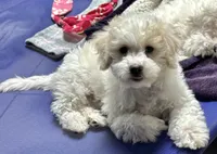 processed/4c481c92-4512-43fb-b685-84da345a1c64/listing/6c5ff35c-2347-45c8-893d-d6fa1e574a4e/7871170d-3033-42e4-8fdb-cc8239776eb2