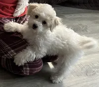 processed/4c481c92-4512-43fb-b685-84da345a1c64/listing/6c5ff35c-2347-45c8-893d-d6fa1e574a4e/c8e9d137-218e-44cd-bb8d-023243319e24