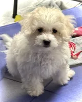 processed/4c481c92-4512-43fb-b685-84da345a1c64/listing/bcd835ea-15ab-4a81-b3de-2b2e12c70d9d/14d0aa1a-f072-4b9b-88c4-bc47fd3ccb72