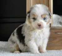 processed/4c497512-d754-4094-87fd-64c2d595a44b/listing/106a2964-1aa5-4be5-bf8b-8c9f4f2d778a/3e0e7270-2a84-4dd4-82d8-40bb5233298c