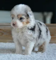 processed/4c497512-d754-4094-87fd-64c2d595a44b/listing/106a2964-1aa5-4be5-bf8b-8c9f4f2d778a/779a07c0-88b5-4575-aca9-f10d68f44241