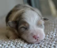 processed/4c497512-d754-4094-87fd-64c2d595a44b/listing/106a2964-1aa5-4be5-bf8b-8c9f4f2d778a/9a266464-9096-4748-a3a2-48c2d6d1d12b