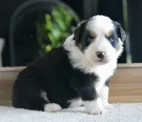 processed/4c497512-d754-4094-87fd-64c2d595a44b/listing/1fbe51cb-754a-40c2-ab4b-16a0b4290ff3/7aea0ad7-6976-416b-8de8-8982aee5f844