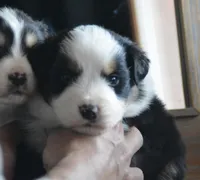 processed/4c497512-d754-4094-87fd-64c2d595a44b/listing/1fbe51cb-754a-40c2-ab4b-16a0b4290ff3/88efbb89-a7fb-44de-9b28-00c1ed7a389a