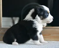 processed/4c497512-d754-4094-87fd-64c2d595a44b/listing/1fbe51cb-754a-40c2-ab4b-16a0b4290ff3/a036314e-01a9-42cd-b675-8e9de8d48ad6