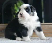 processed/4c497512-d754-4094-87fd-64c2d595a44b/listing/1fbe51cb-754a-40c2-ab4b-16a0b4290ff3/be77d4e6-1010-494e-b0b8-f866eb6ca4b8